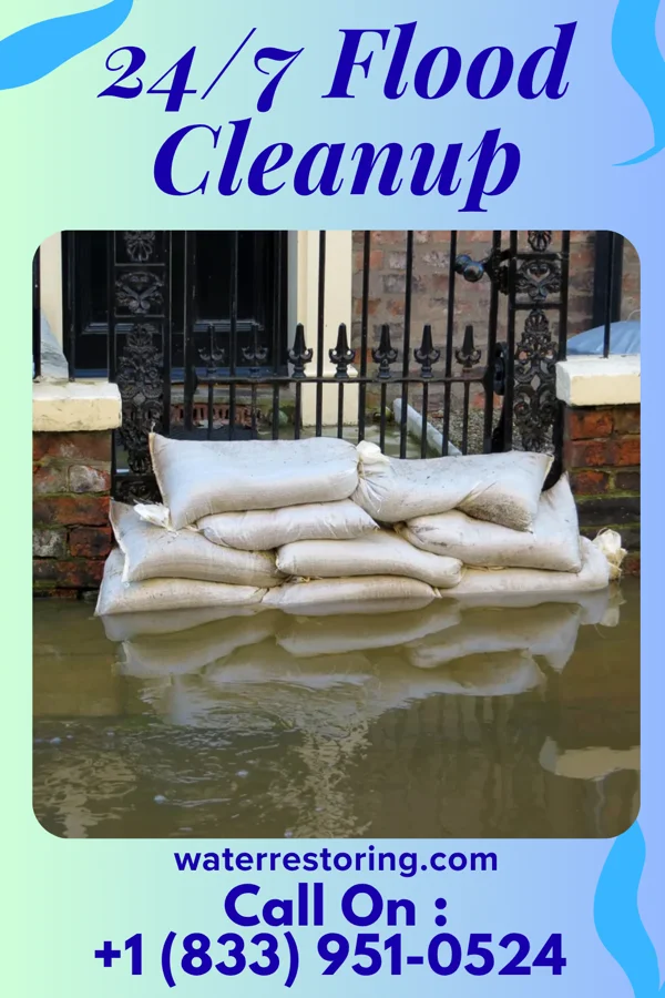 24/7 Flood Cleanup in Riggston, IL