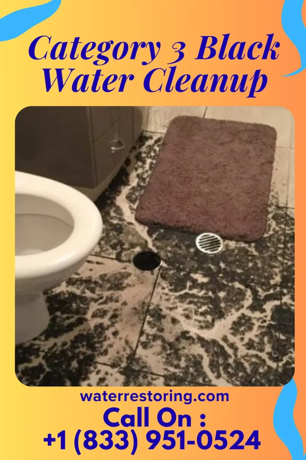 Category 3 Black Water Cleanup in Riggston, IL