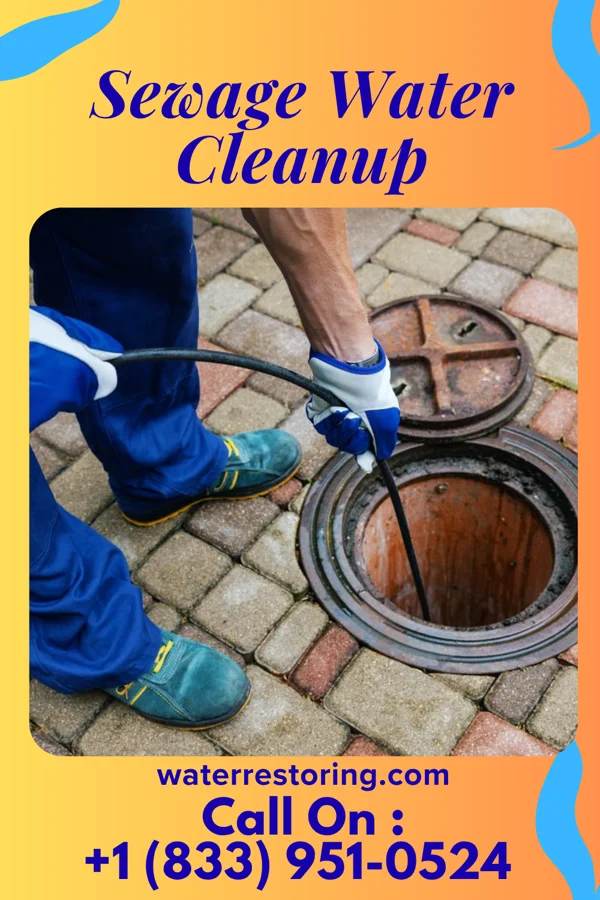 Sewage Water Cleanup in Riggston, IL