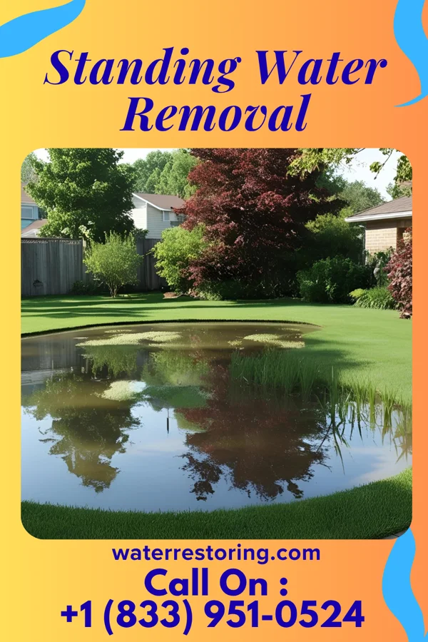 Standing Water Removal in Riggston, IL